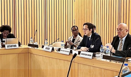 Vietnam chairs African Regional Consultation for 2026 NPT Review Conference